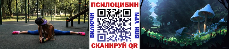 Псилоцибиновые грибы прущие грибы Кашин