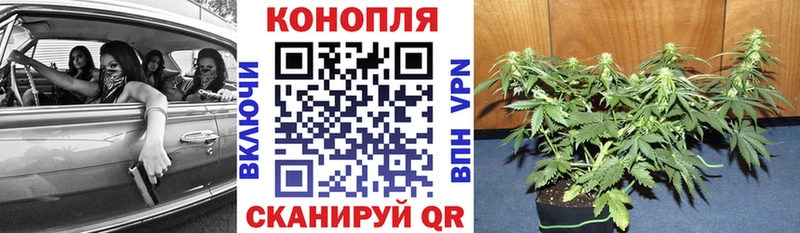 Конопля LSD WEED  цена наркотик  Кашин 